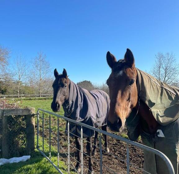 مبيت وإفطار The Loft At Henton Lodge