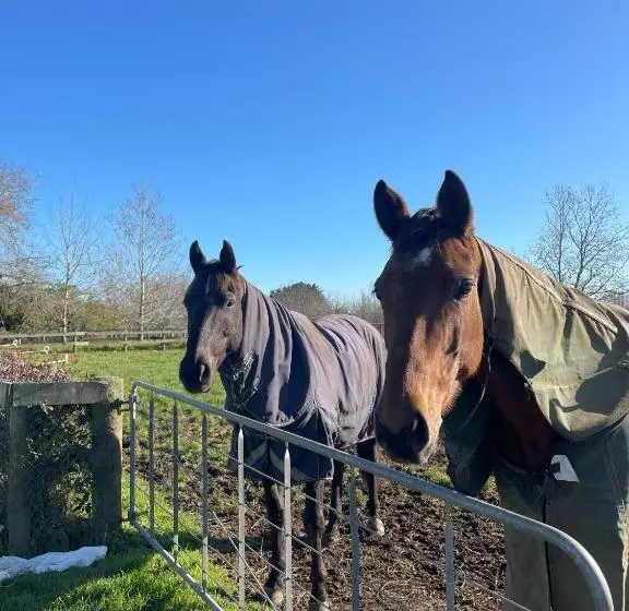 Aamiaismajoitus (B&B) The Loft At Henton Lodge
