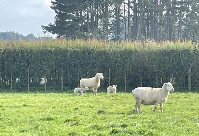 مبيت وإفطار The Loft At Henton Lodge