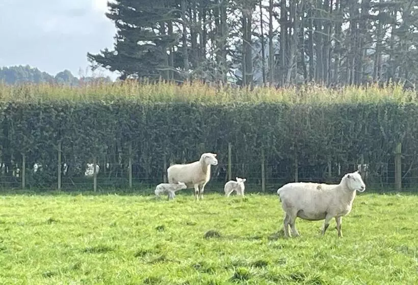Aamiaismajoitus (B&B) The Loft At Henton Lodge