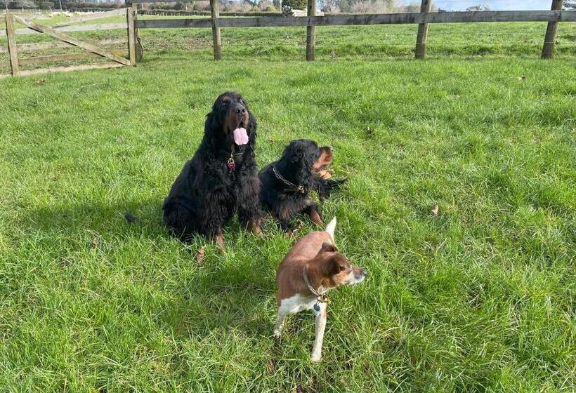 مبيت وإفطار The Loft At Henton Lodge