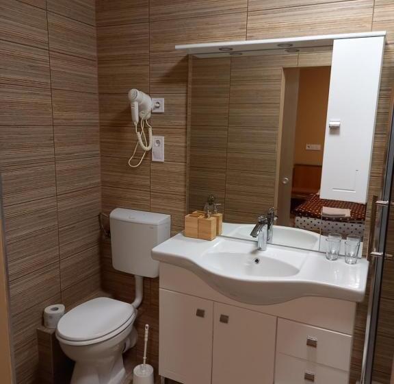 פנסיון Borház