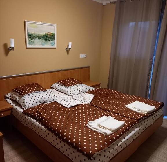 פנסיון Borház