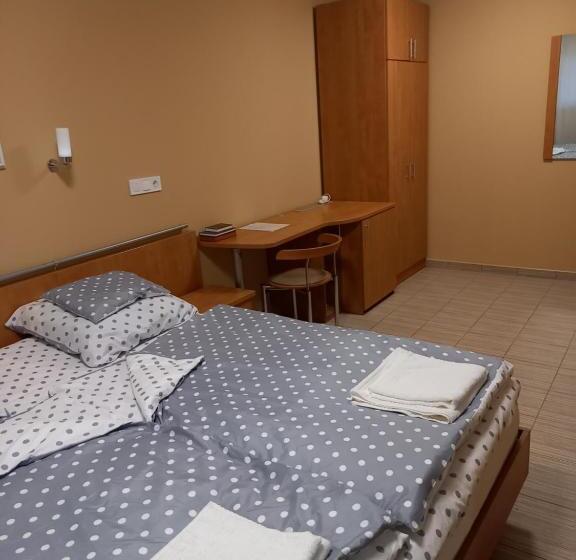 פנסיון Borház