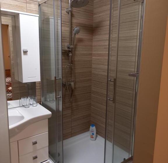 פנסיון Borház