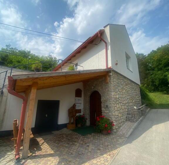 פנסיון Borház