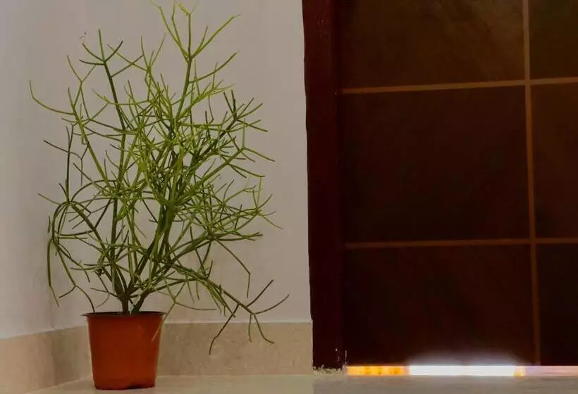 ペンション Urban Oasis A Boutique Inn 50 Meter Away From Gnrc Hospital Six Mile