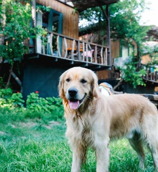 Курорт Kaplumbağa Bungalows