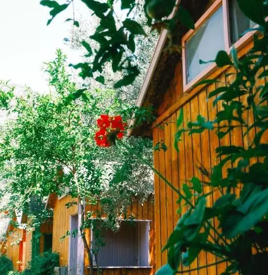 Lomakeskus Kaplumbağa Bungalows