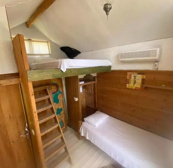 Lomakeskus Kaplumbağa Bungalows