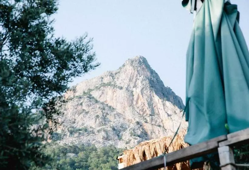 Lomakeskus Kaplumbağa Bungalows