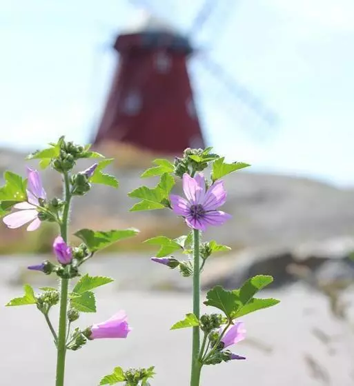 Hotelli Brygghuset Mollösund