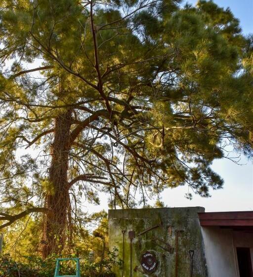 Отель Casablanca Melo, Córdoba, Argentina