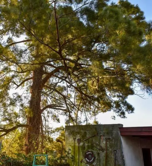 Hotelli Casablanca Melo, Córdoba, Argentina