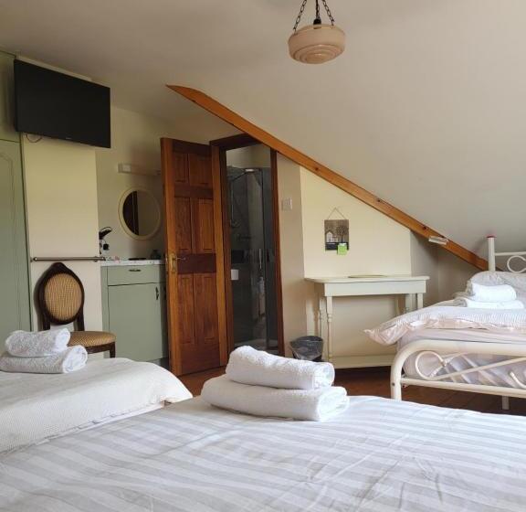 پانسیون Heathervillefarm Blennerville