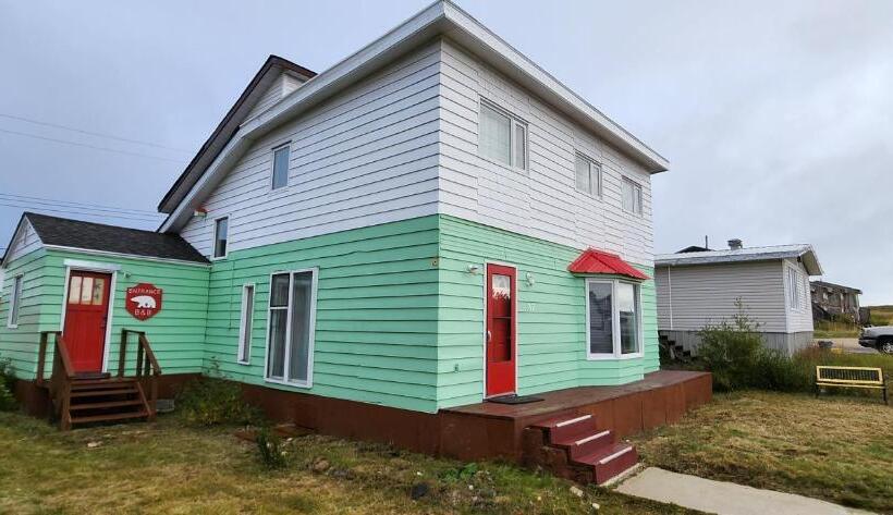 Polar Bear Bed And Breakfast