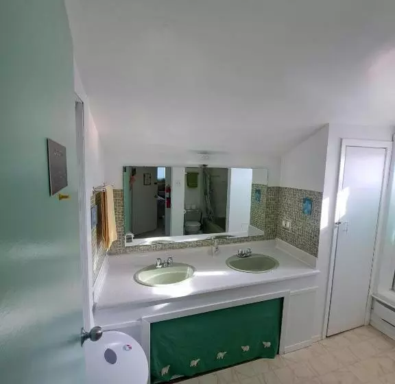 Polar Bear Bed And Breakfast