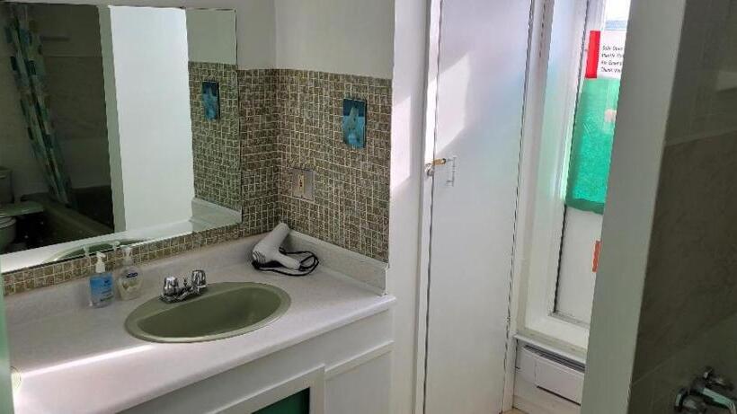 Polar Bear Bed And Breakfast