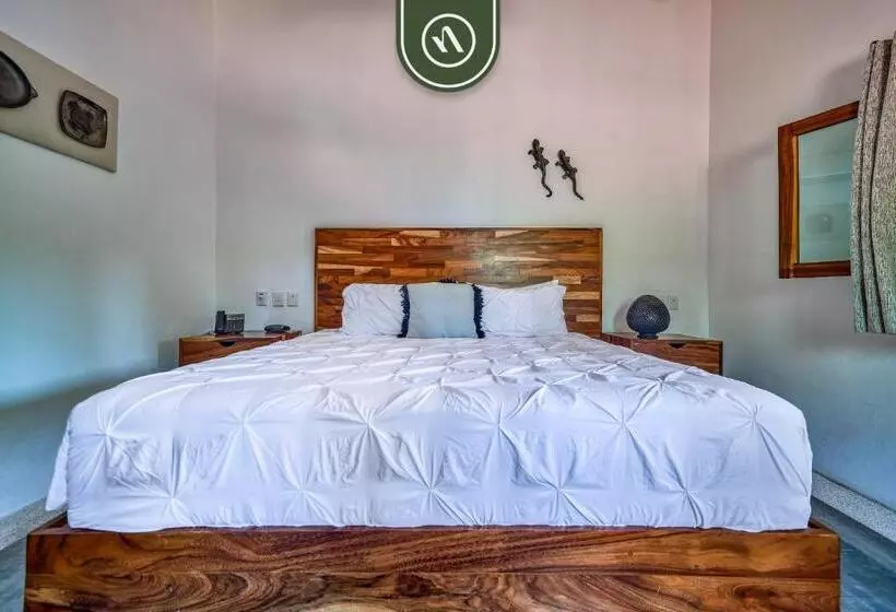 هاستل Bed And Breakfast Dormitory Room With Pool   Nuevo Vallarta