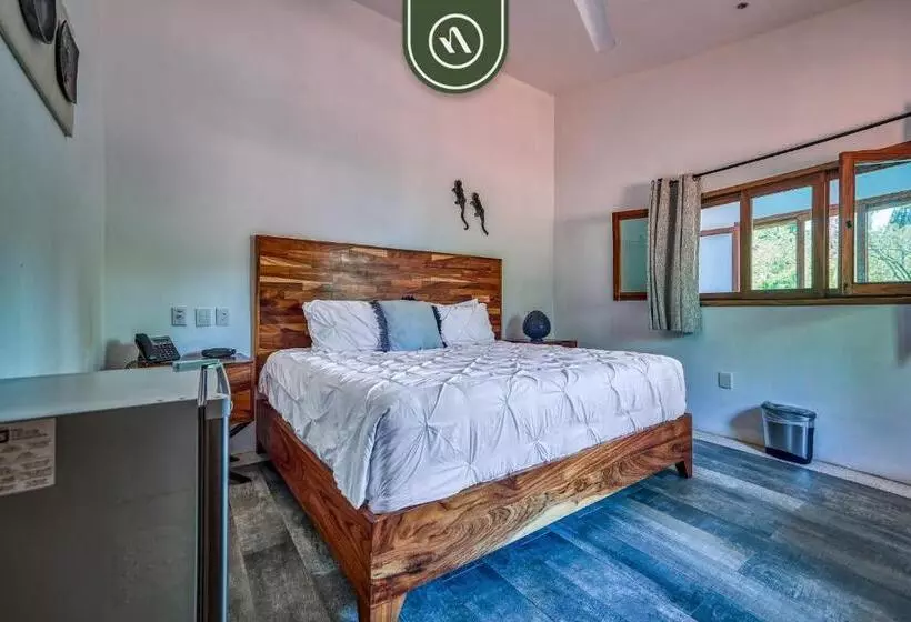 هاستل Bed And Breakfast Dormitory Room With Pool   Nuevo Vallarta