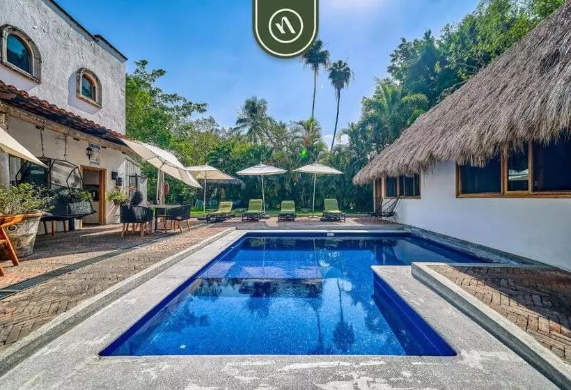 هاستل Bed And Breakfast Dormitory Room With Pool   Nuevo Vallarta