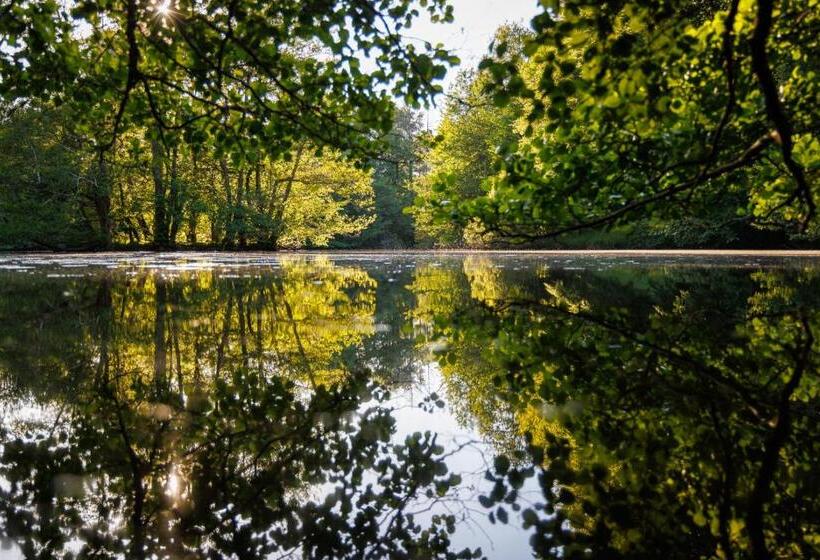مبيت وإفطار Moulin De Retord, Côté étang Chambres D Hôtes