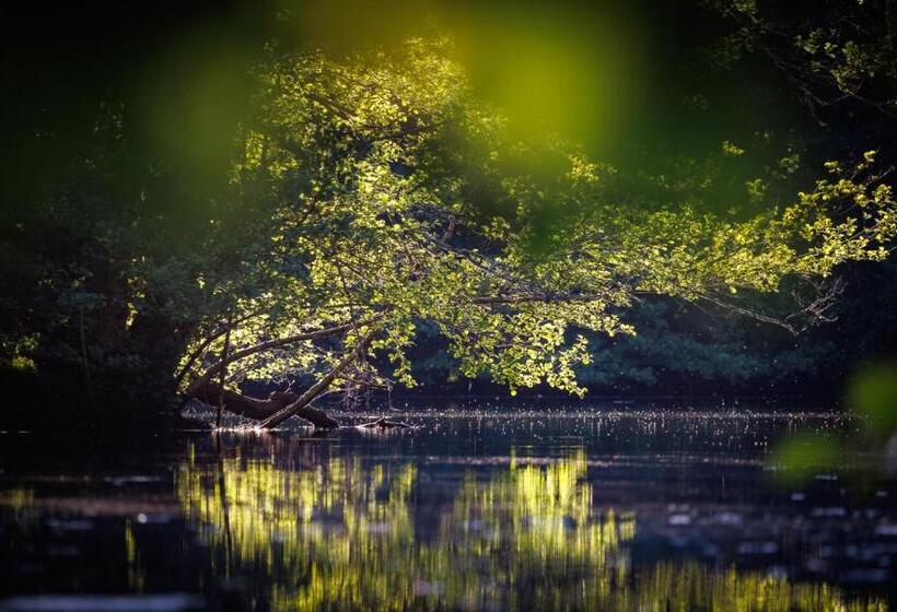 مبيت وإفطار Moulin De Retord, Côté étang Chambres D Hôtes