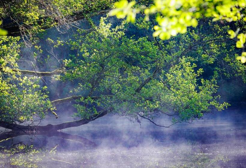 مبيت وإفطار Moulin De Retord, Côté étang Chambres D Hôtes