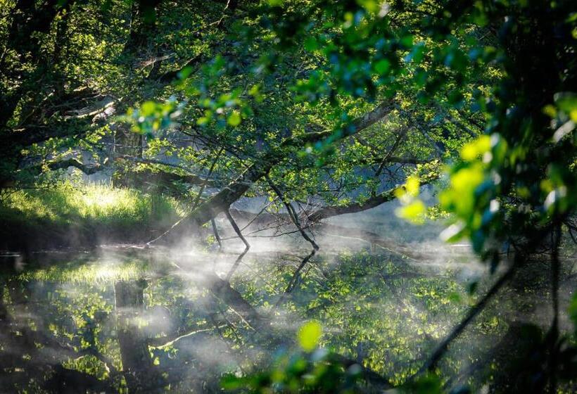 مبيت وإفطار Moulin De Retord, Côté étang Chambres D Hôtes