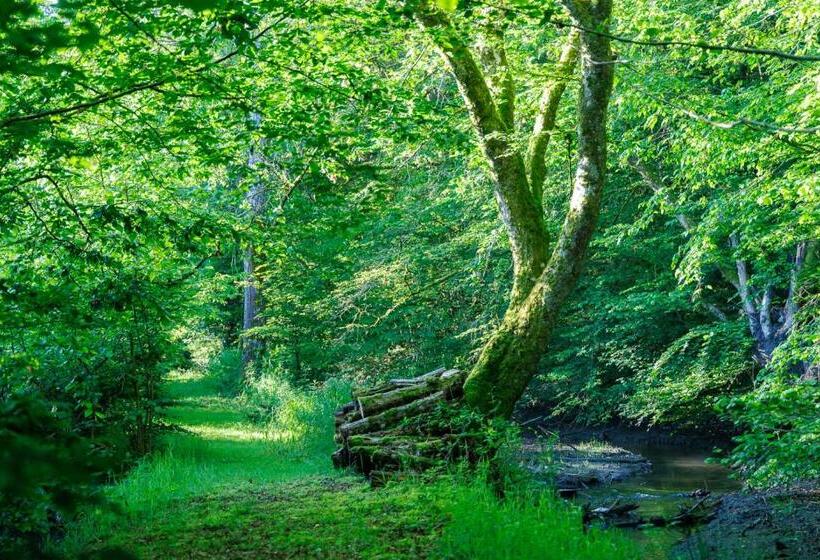 مبيت وإفطار Moulin De Retord, Côté étang Chambres D Hôtes