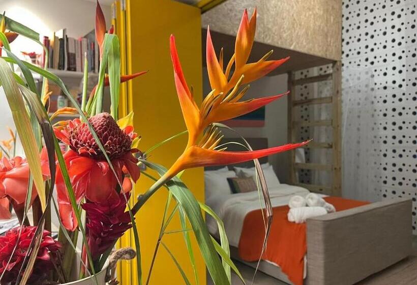 Casa Bajura Bed And Breakfast