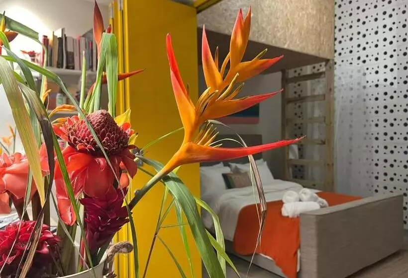 Casa Bajura Bed And Breakfast