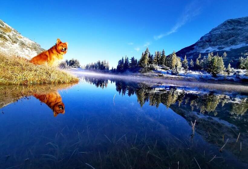 בית מלון כפרי Reischl,s Sport Und Wander