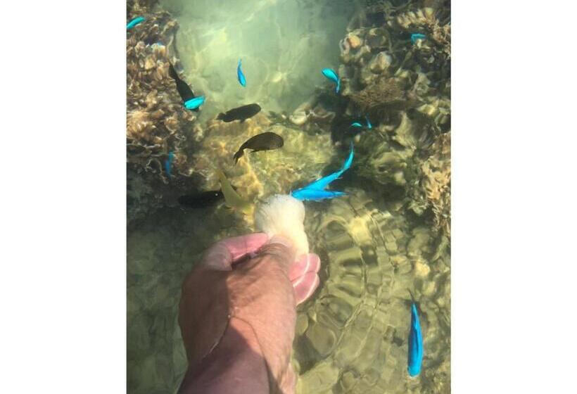 בית מלון כפרי Sunset Hill   Vacation Stay 94796v