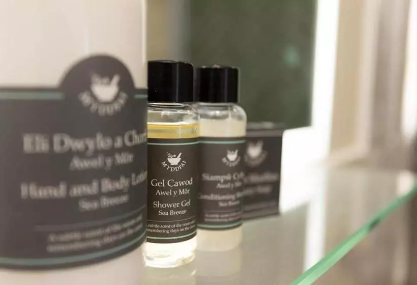 ホテル The Town Crier, Tenby