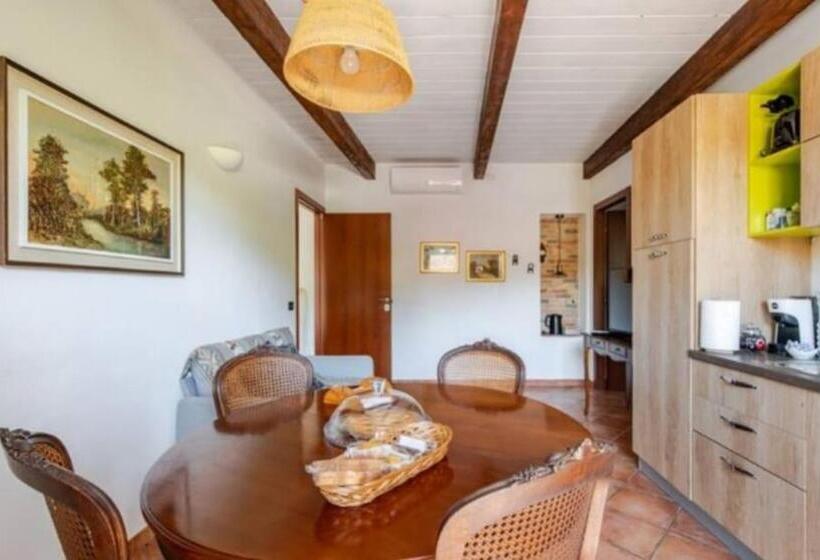 פנסיון Villa Gallina