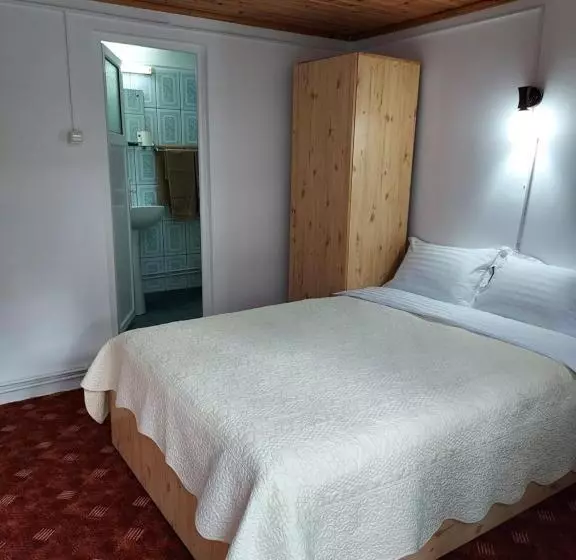 Pensiunea La Taverna