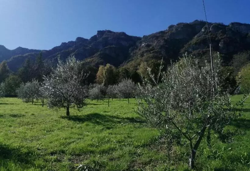 Aamiaismajoitus (B&B) Le Faye