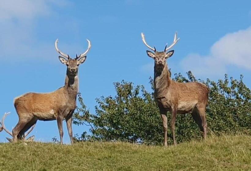 酒店 Carbisdale Castle