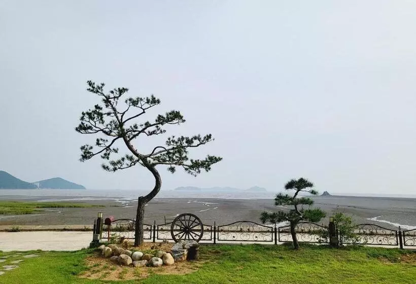 ペンション Daebudo Grace Ocean View Private House