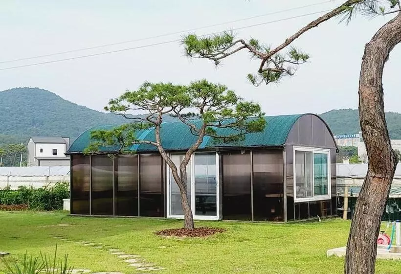 ペンション Daebudo Grace Ocean View Private House
