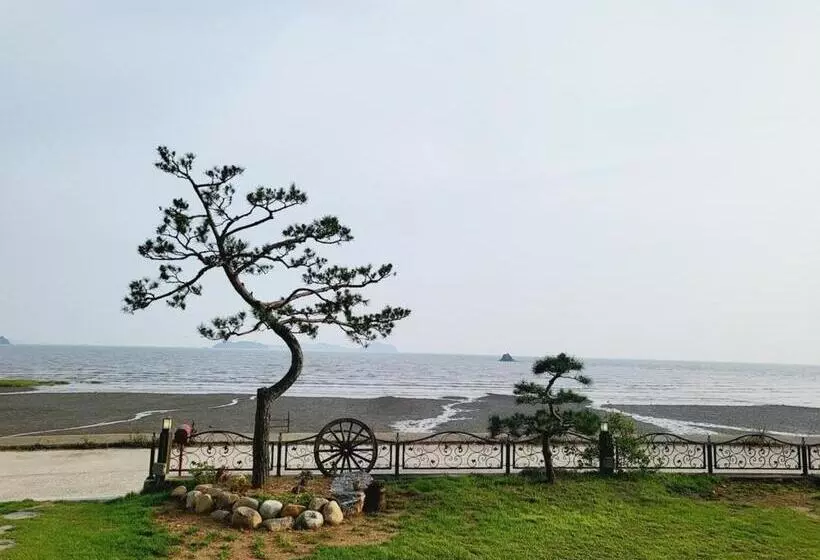 ペンション Daebudo Grace Ocean View Private House