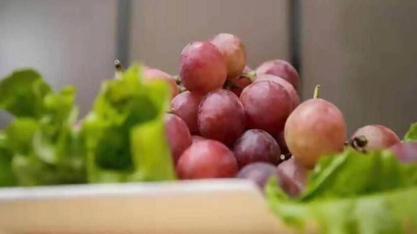 Hanting Premium Hotel Yan An Pagoda Mountain