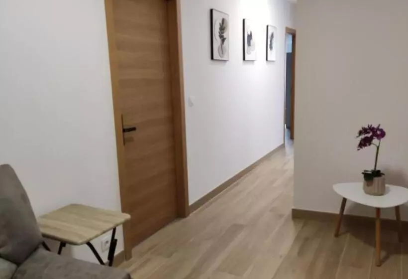 Pensión Alicante Bergez