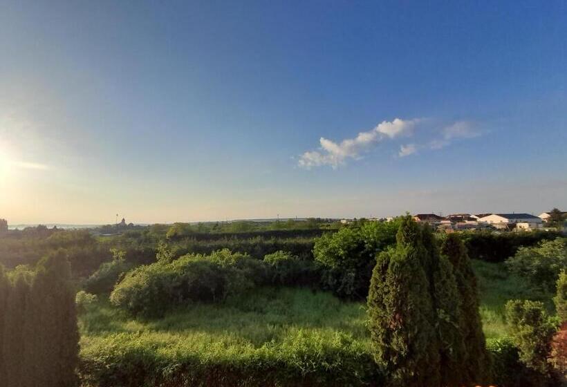 Bed and Breakfast Canadian Style House With 3d Effect Pool