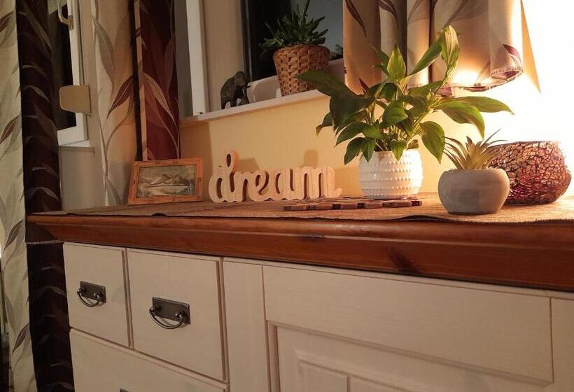 Bed and Breakfast Canadian Style House With 3d Effect Pool