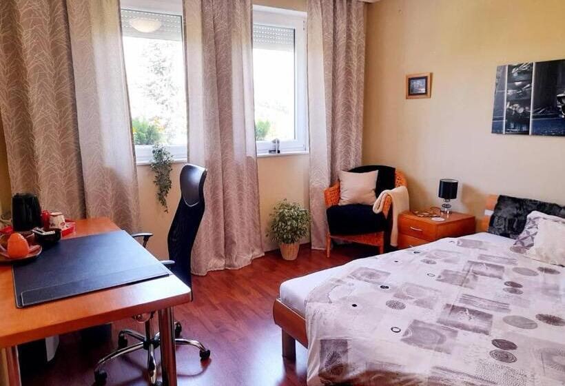 Bed and Breakfast Canadian Style House With 3d Effect Pool