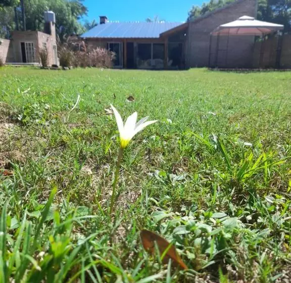 ベッドアンドブレックファースト Loreto Guest House Yayetopa