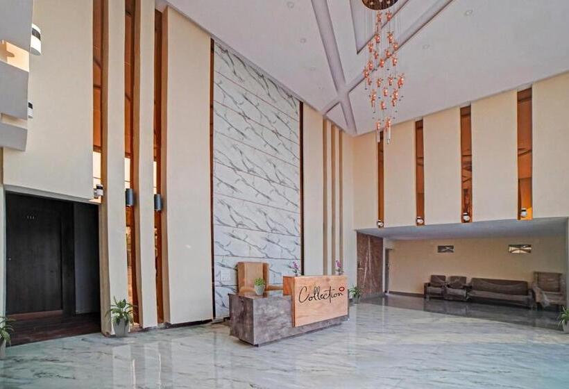 Palette   The Mark Club & Resorts