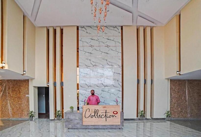 Palette   The Mark Club & Resorts